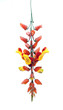 tropical flowers