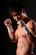 boxer series