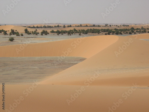 dune à faya largeau