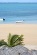 tropical beach