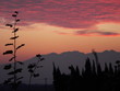 nuages roses et montagne nuages roses et montagne
