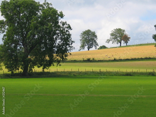 paysage de la campagne en cambrie