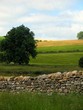 paysage cambrien