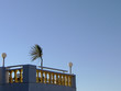 terrasse du sud