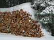 tas de bois tas de bois