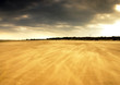 storm front rising storm front rising