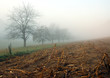 paysage d'hiver