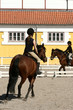danish horse farm
