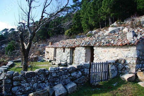 corse bergerie
