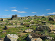 tundra with scattered stones