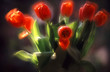 Foto: tulipes tulipes