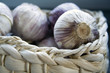knoblauch