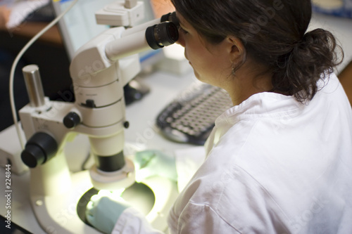 scientist examining evidence