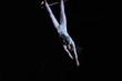 trapezistes