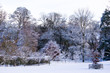 autumnal snow scene