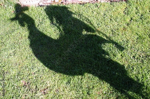 cockeral shadow cockeral shadow