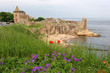 st andrews castle st andrews castle