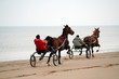 course de trot attelé