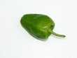 poivron vert  - green sweet pepper