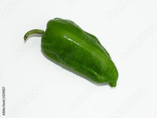 poivron vert  - green sweet pepper
