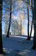 winter winter