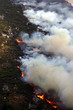 feu de forêt