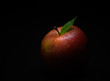 food - red apple