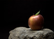 food - red apple