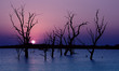 nature - lake sunset
