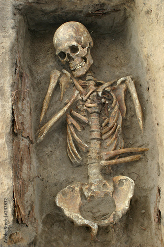 skeleton