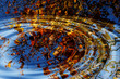 autumn splash.