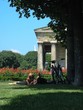 romance in vienna