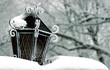 winter - lantern in snow