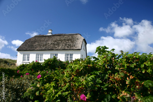 house in denmark house in denmark