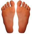 foot