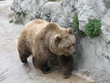 ours
