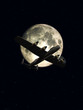 moonshine and plane 2
