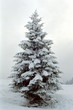 schneetreiben