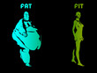fit and fat