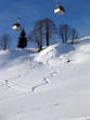 fresh tracks fresh tracks