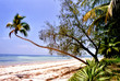 plage et pamier