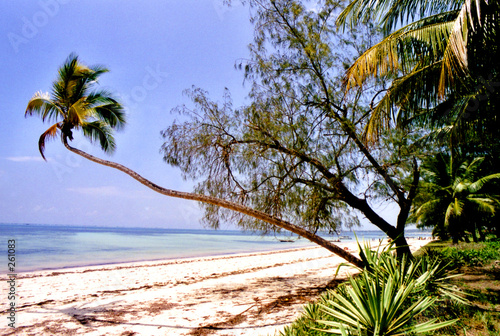 plage et pamier