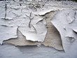 peeling paint 1 peeling paint 1