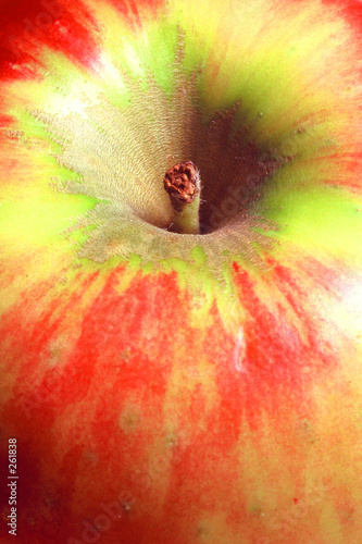 pomme