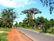 route