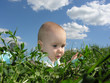 baby in herb and sky