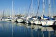 port de cannes port de cannes