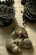 katzenkuschel katzenkuschel