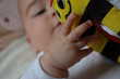 babymitbiene babymitbiene
