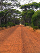 dirt road